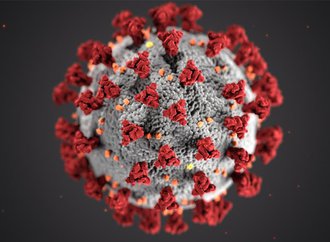 Coronavirus-COVID-19.jpg