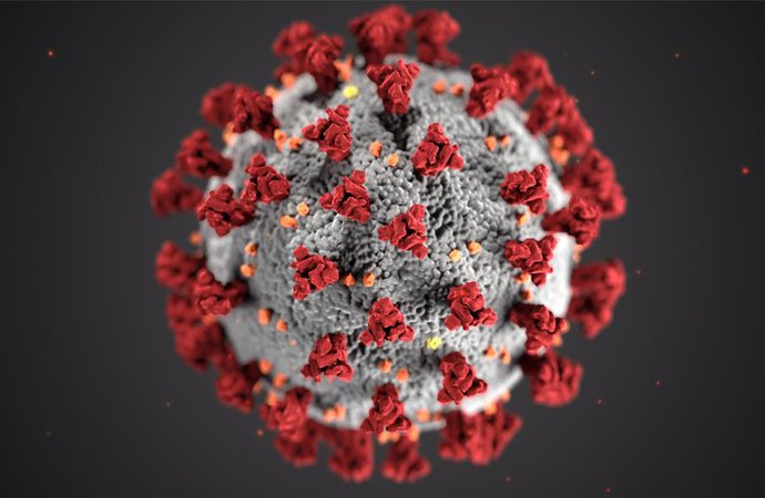 Coronavirus-COVID-19.jpg