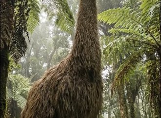 Moa Gigante.jpg