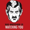 big-brother-is-watching-you.jpg