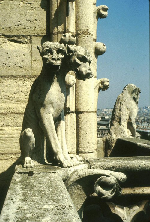 cerbère notre dame.jpg