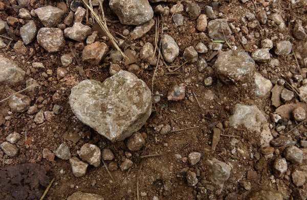 Comment SURMONTER un cœur brisé : la proximité de Dieu / Avec