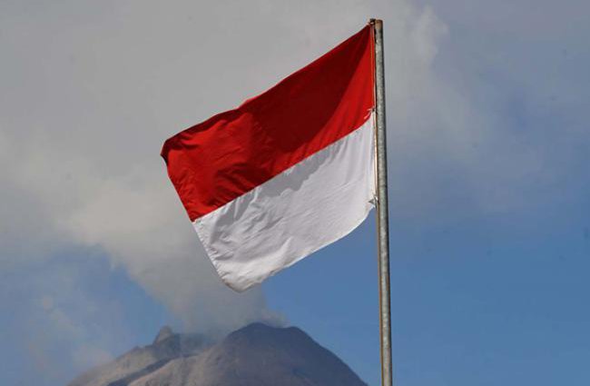 drapeau_indonesiecafp.jpg