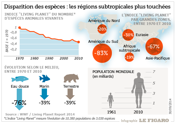 extinction espèces.png