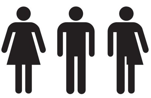 gender-1.jpeg