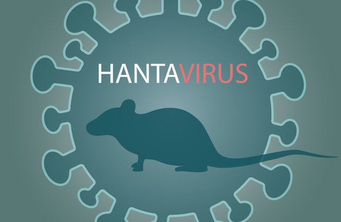 hantaviruq.jpg