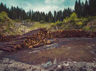 il-faudrait-10-millions-dannees-a-la-terre-pour-se-remettre-de-lactivite-humaine.jpg