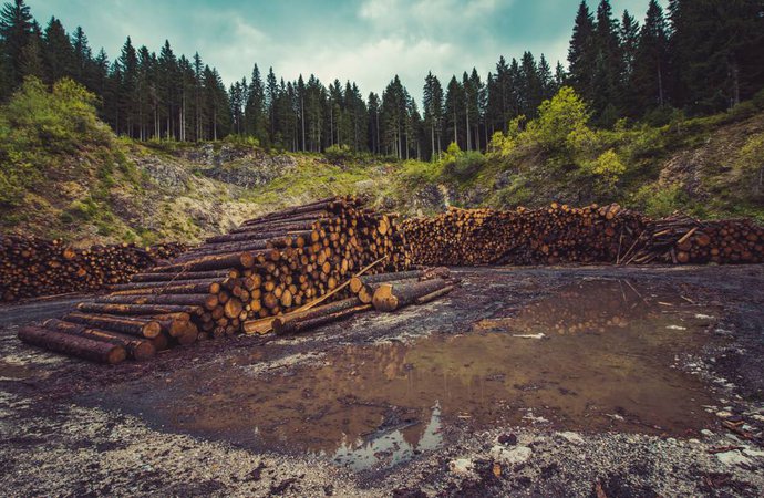 il-faudrait-10-millions-dannees-a-la-terre-pour-se-remettre-de-lactivite-humaine.jpg