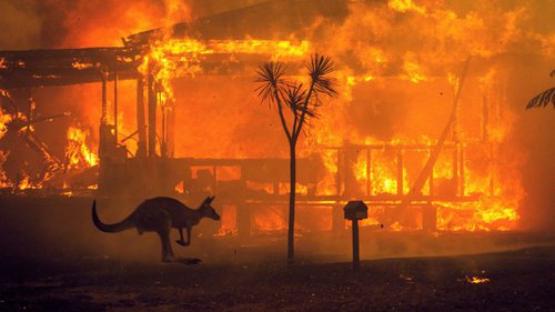 incendie australie.jpg