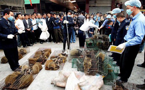 marché wuhan.jpg