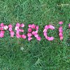 merci.jpg
