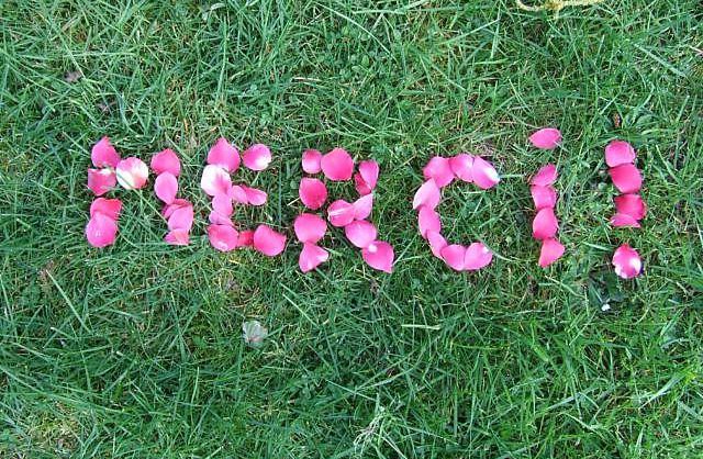 merci.jpg