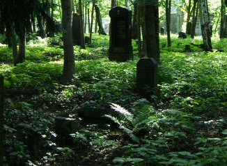 n-CEMENTERY-large5701.jpg