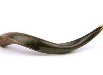 shofar.jpg