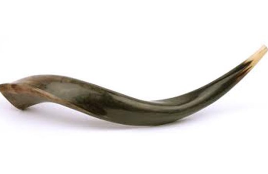 shofar.jpg