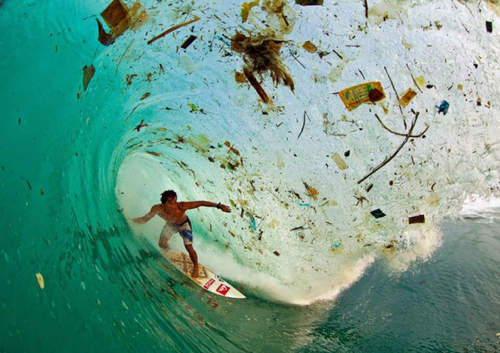 surf au milieu des ordures.png