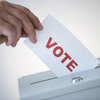 voter.jpg